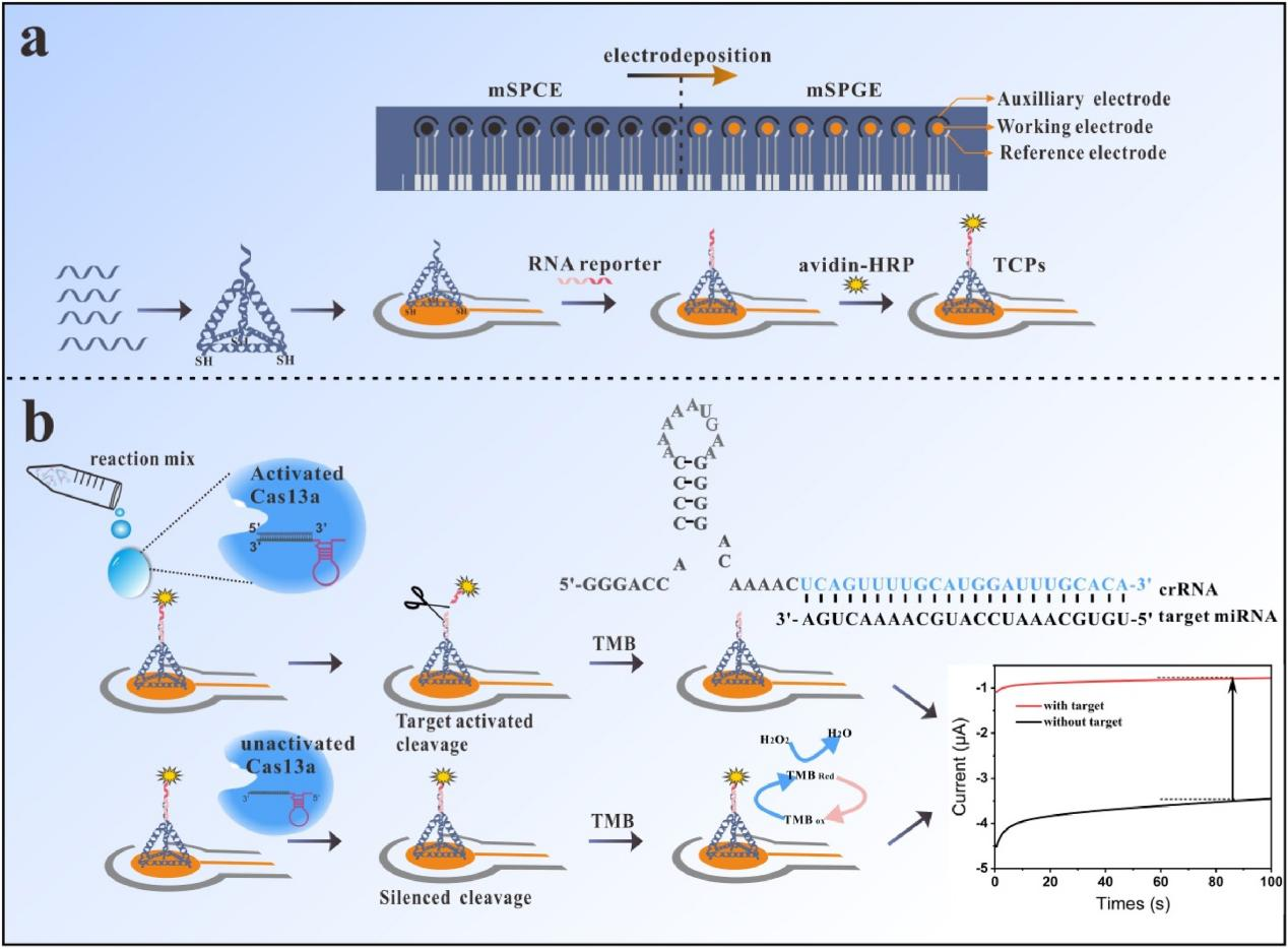 Crispr