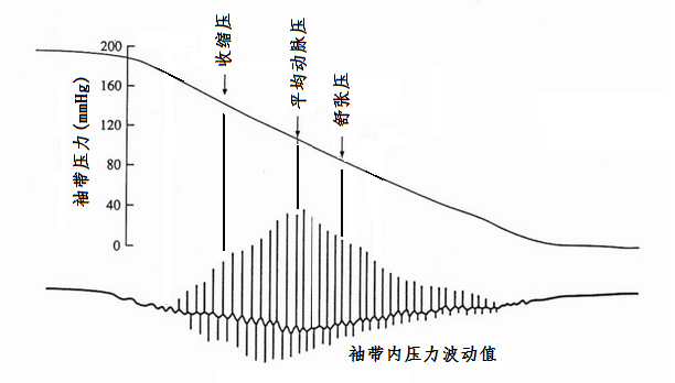 传感专家