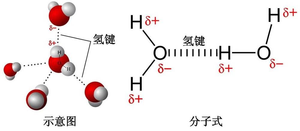 过氧化氢化学键示意图图片