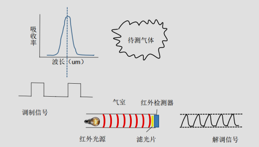 传感专家