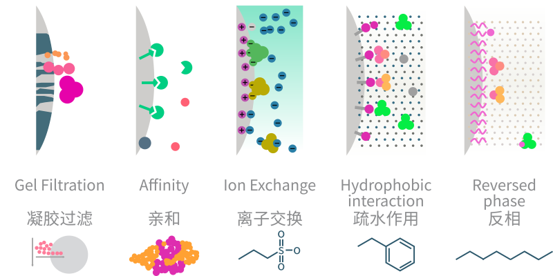 传感专家