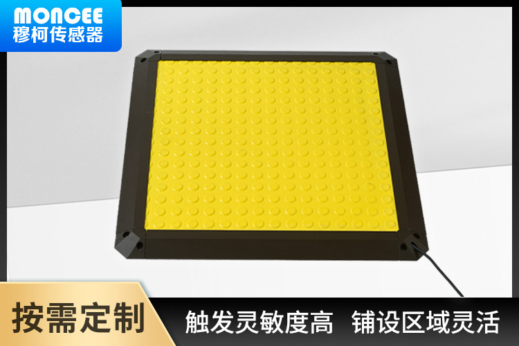 传感专家