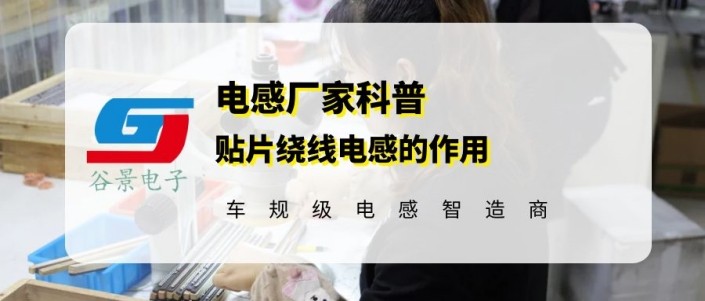 传感专家