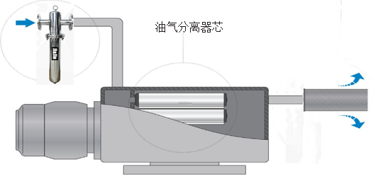 传感专家