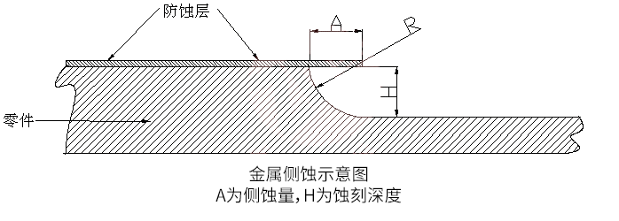 传感专家