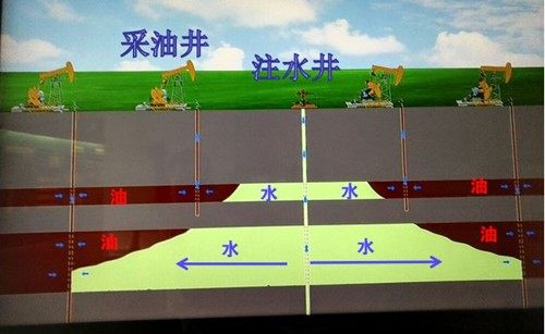 传感专家