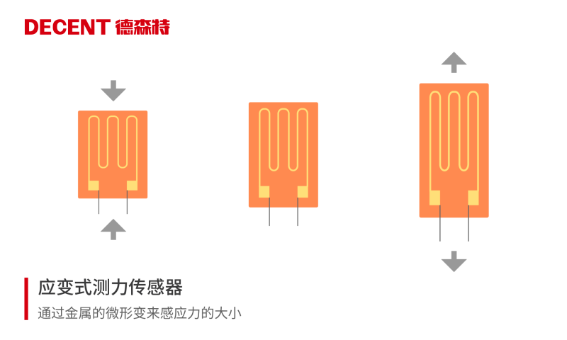 传感专家