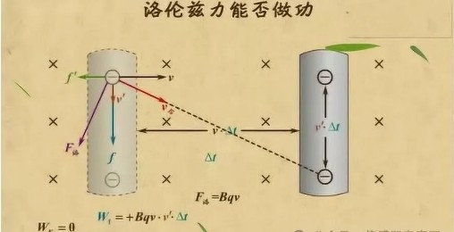 传感专家