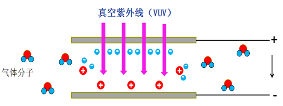 传感专家