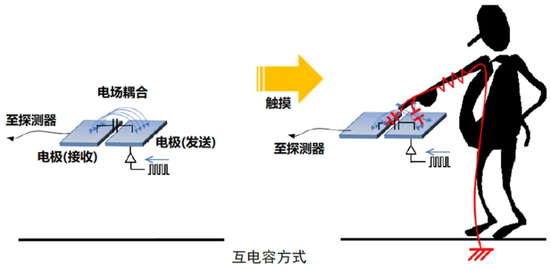 传感专家