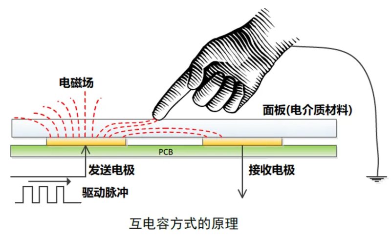 传感专家