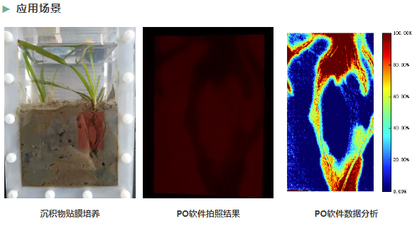 传感专家