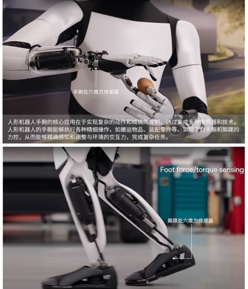 传感专家
