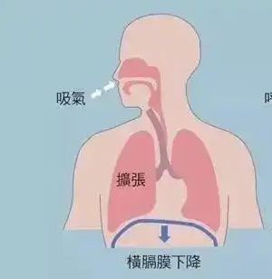 传感专家