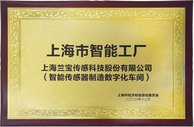 传感专家