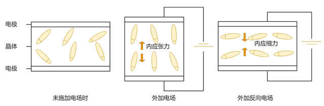 传感专家