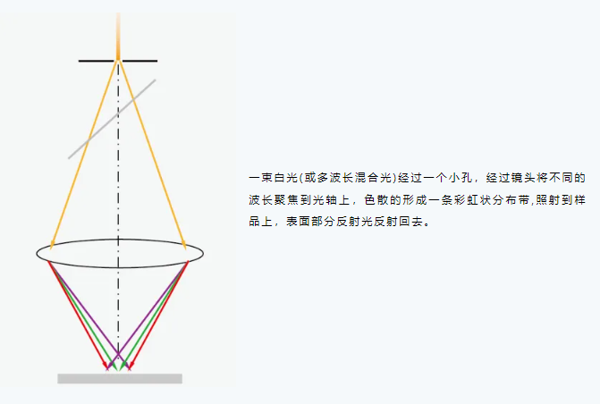 传感专家