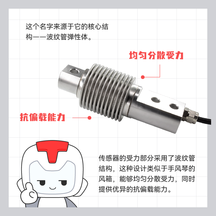 传感专家