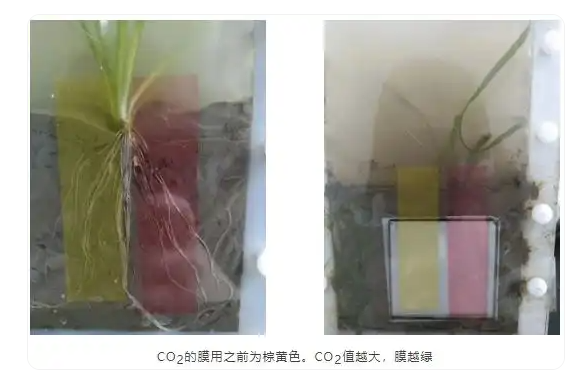 传感专家