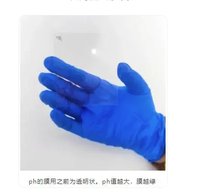 传感专家