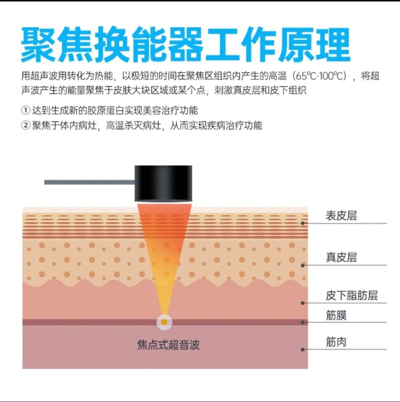 传感专家