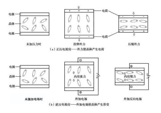 传感专家