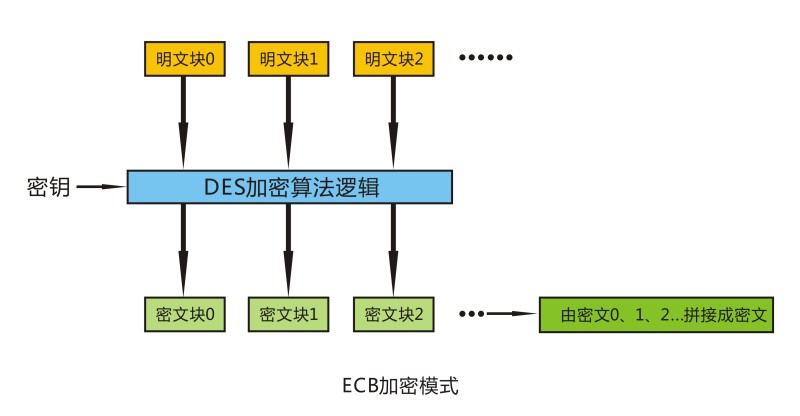 传感专家