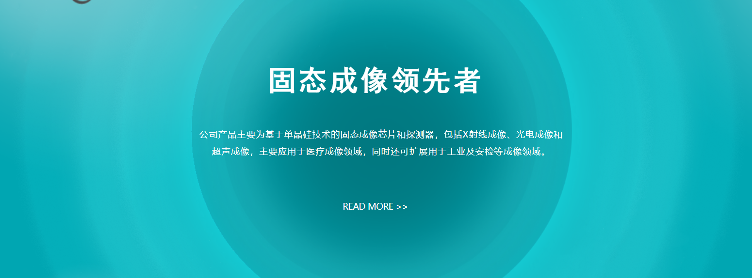 传感专家