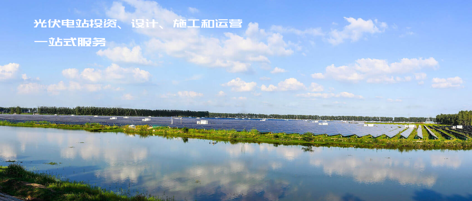传感专家