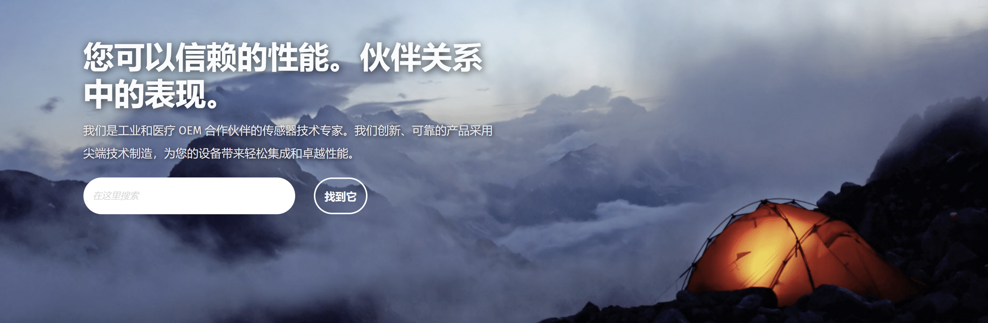 传感专家
