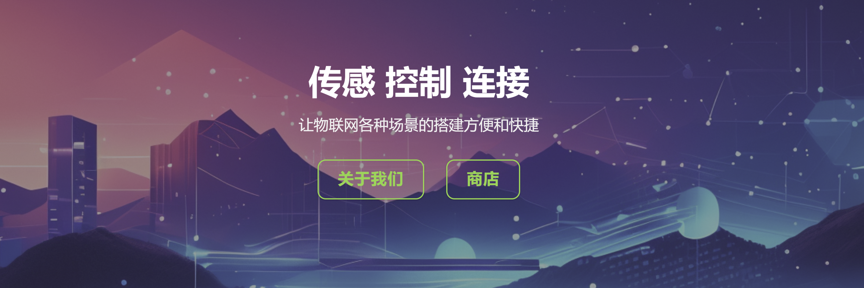传感专家