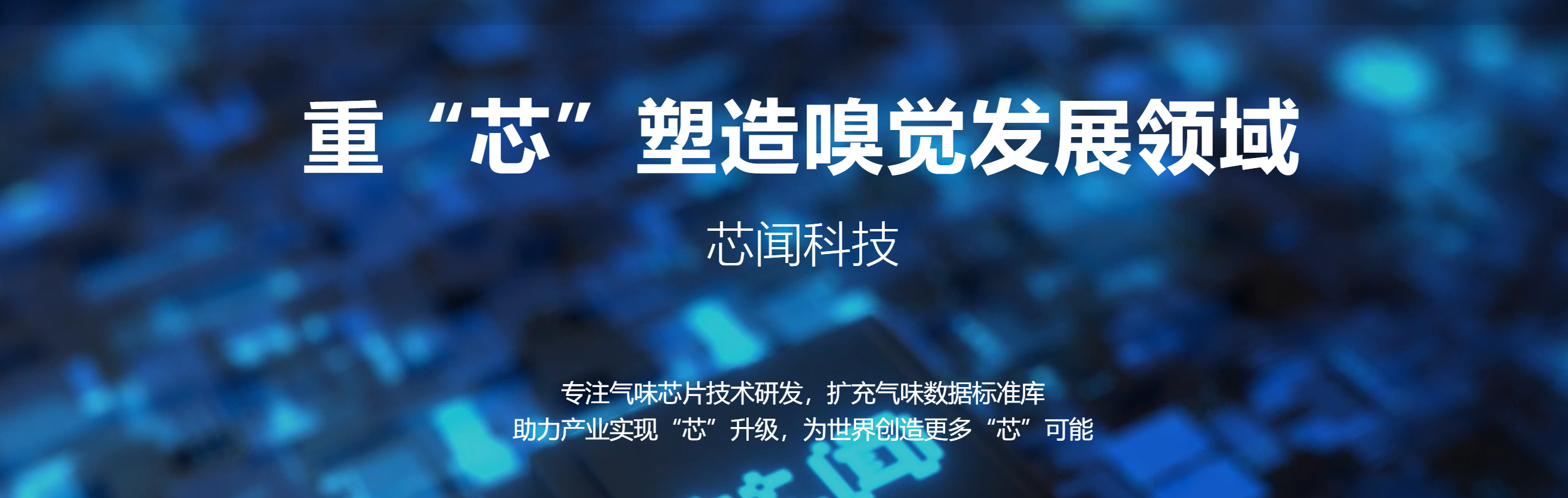 传感专家