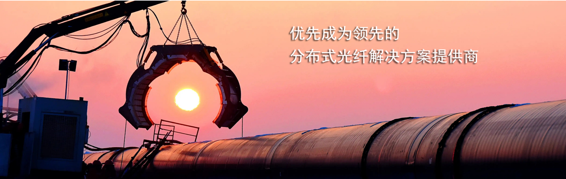 传感专家