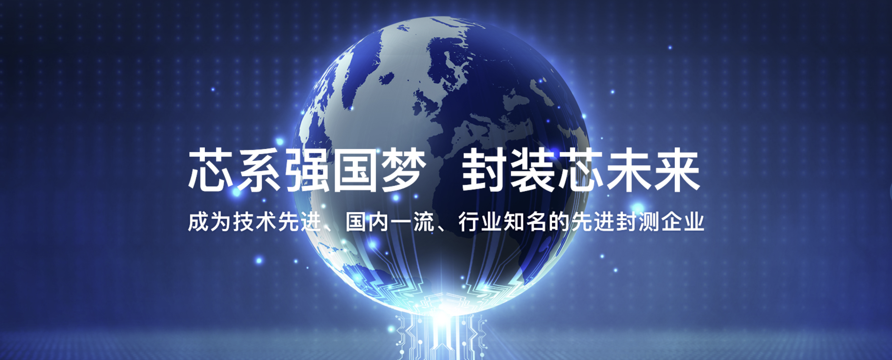 传感专家