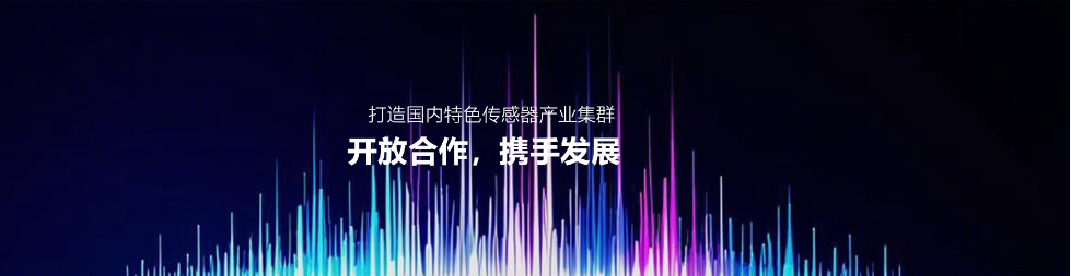 传感专家