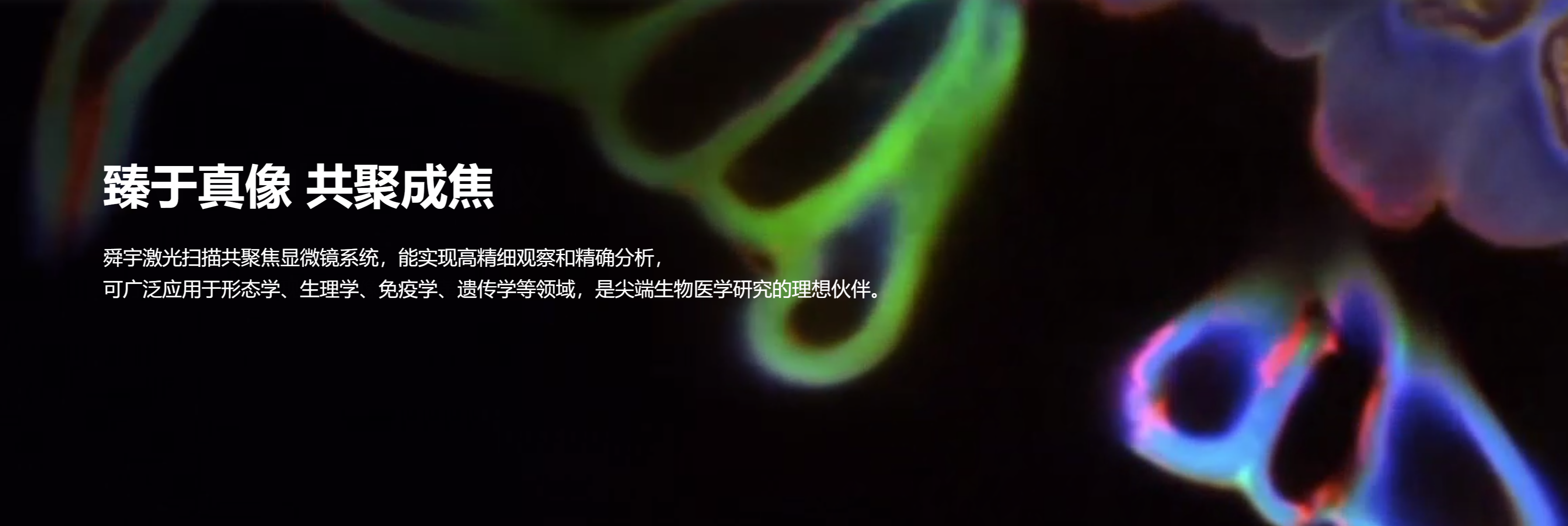 传感专家