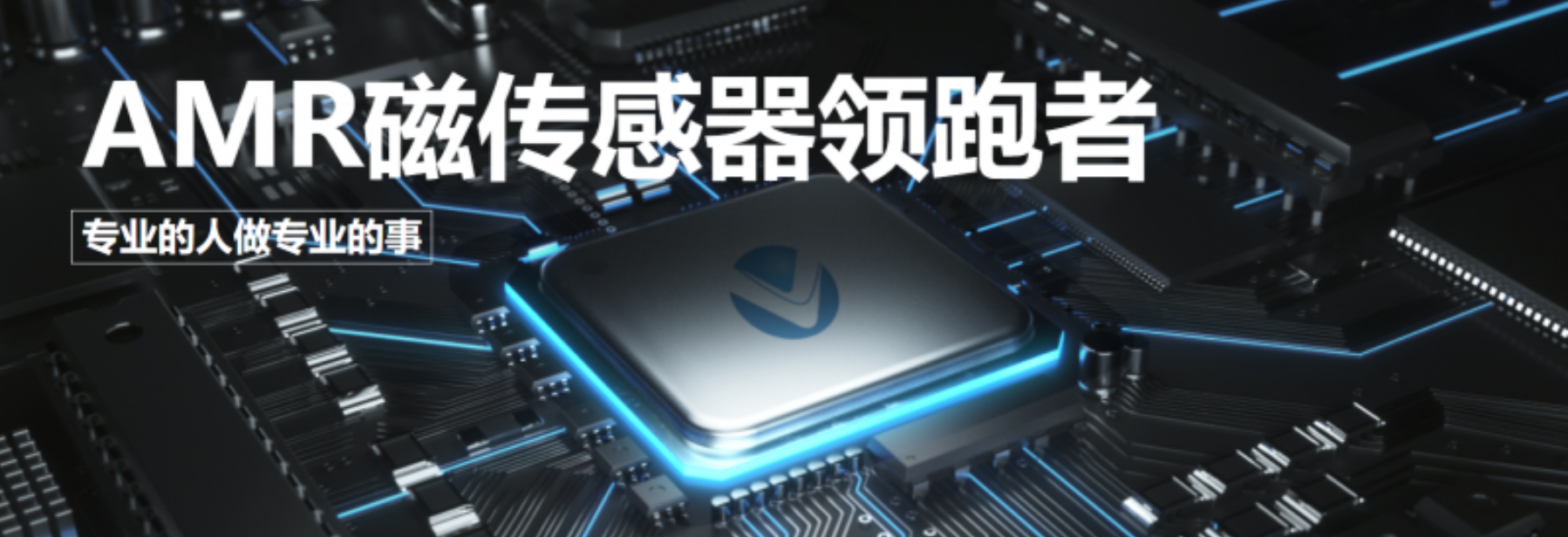传感专家