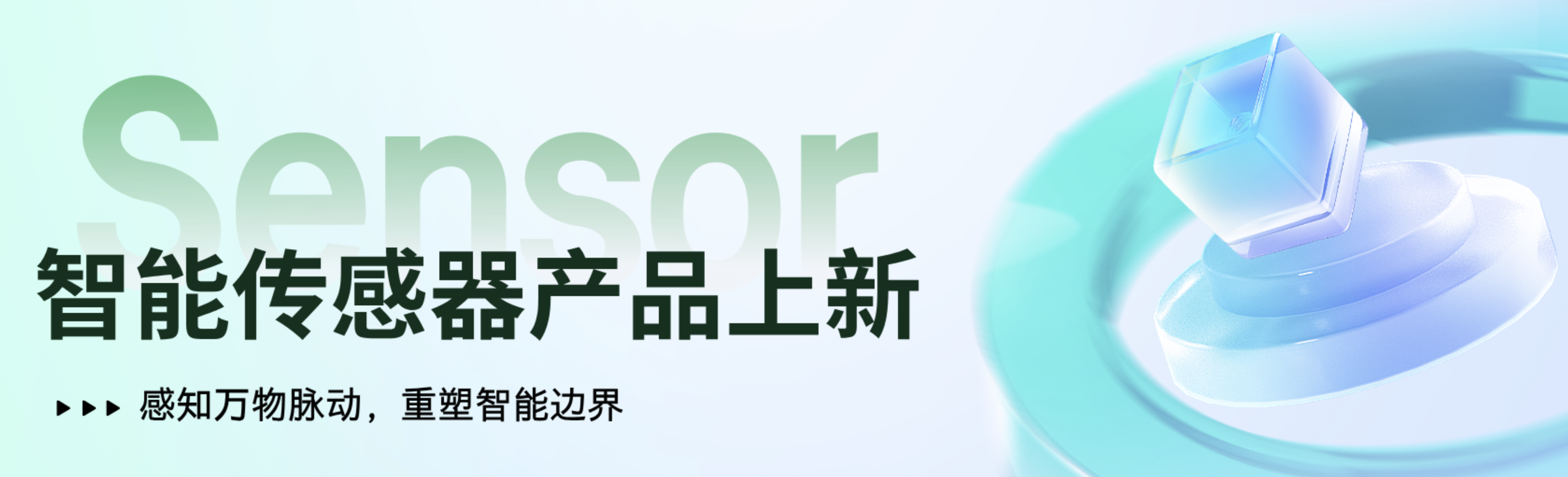 传感专家