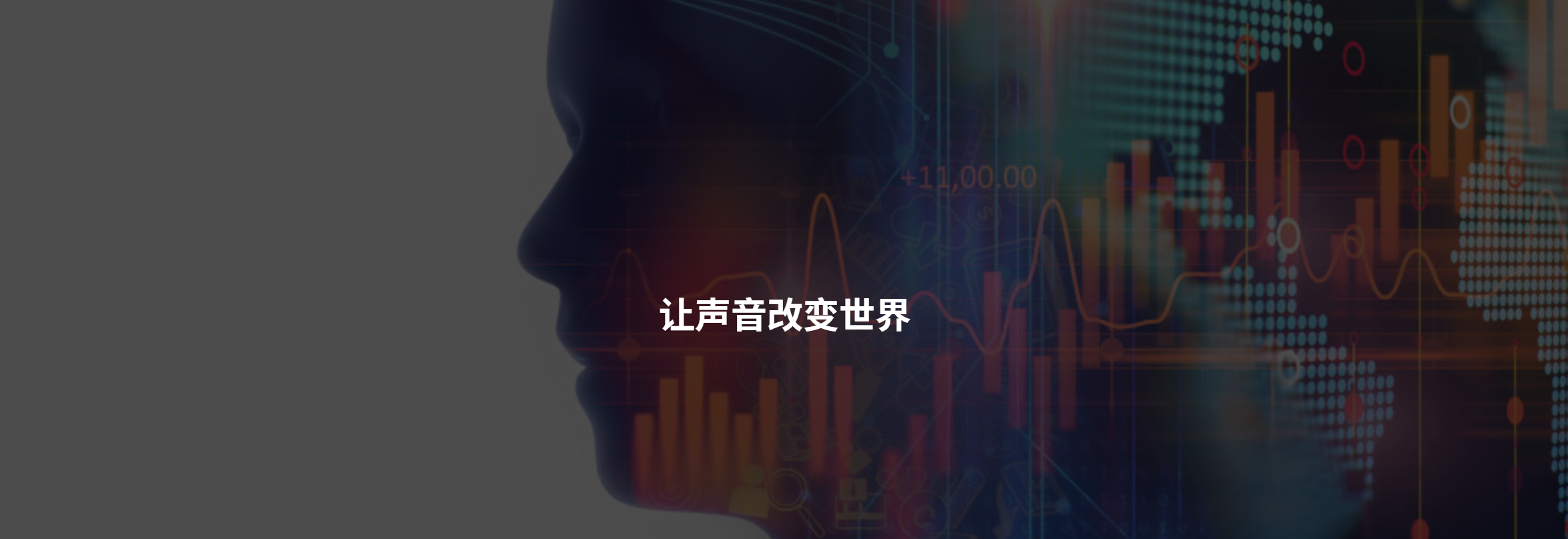传感专家