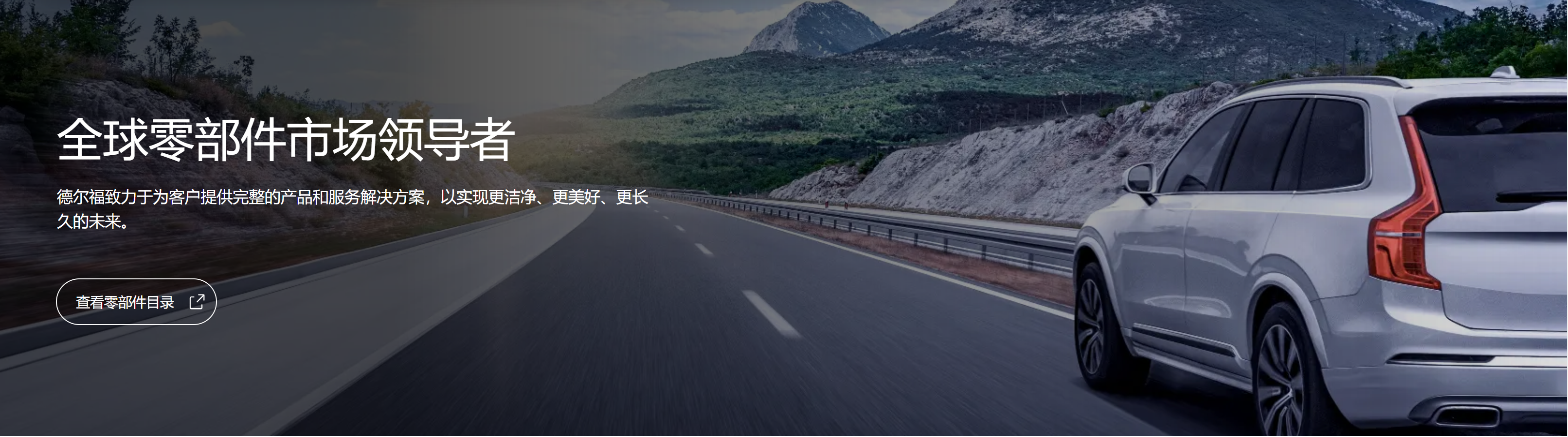 传感专家