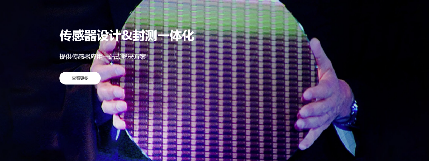 传感专家