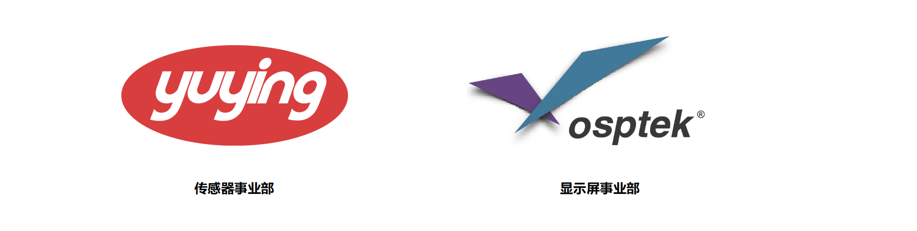 传感专家