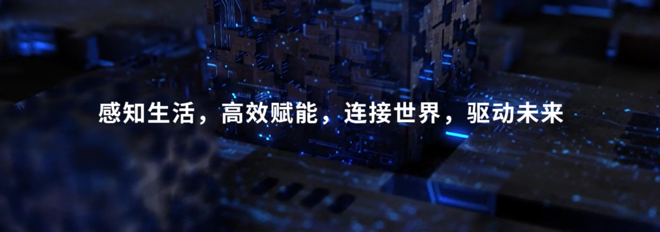 传感专家