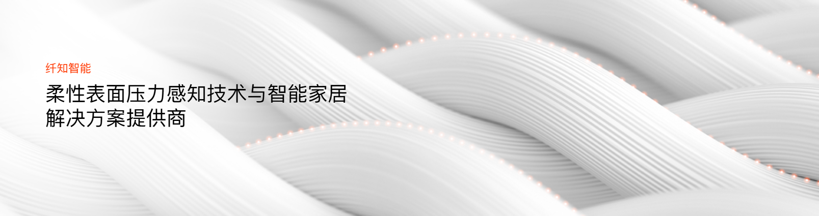 传感专家