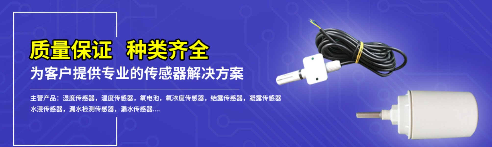 传感专家