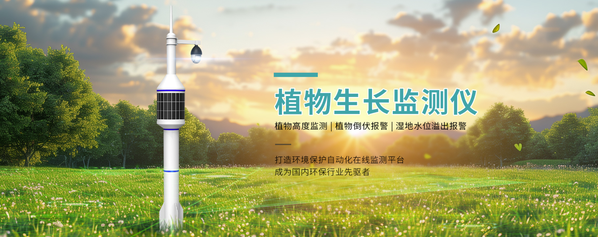 传感专家