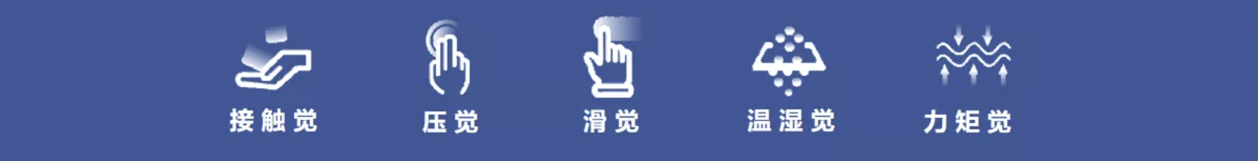 传感专家