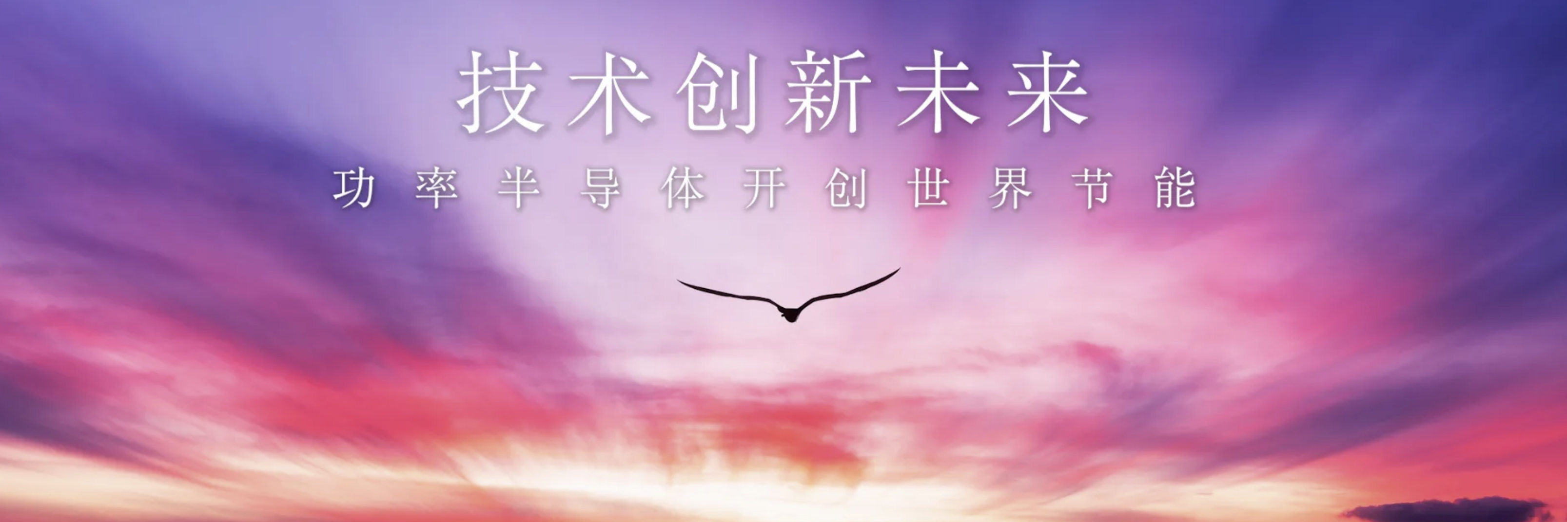 传感专家