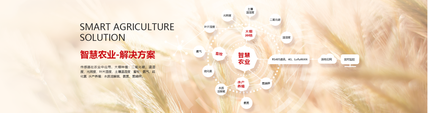 传感专家