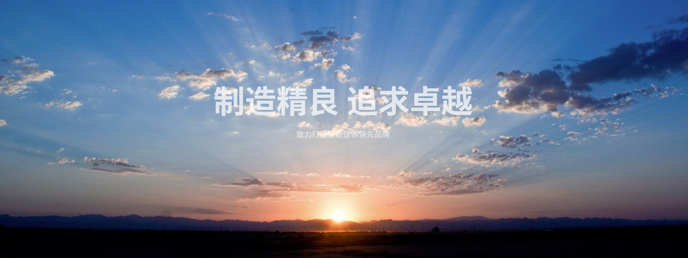 传感专家